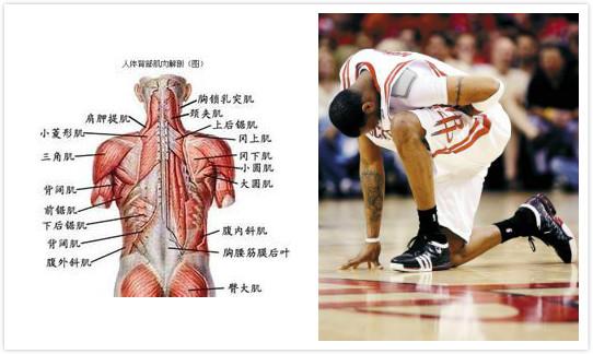 nba球星最常见的伤病 解密NBA球员常见伤病(5)