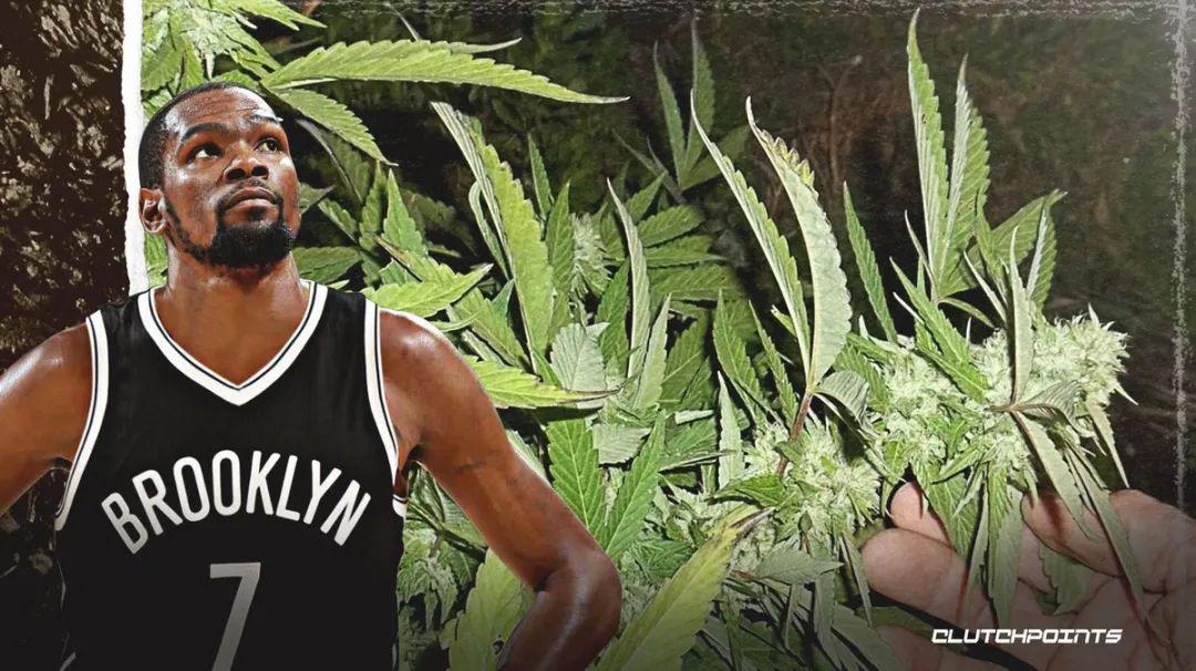 疯了！NBA允许大麻合法化？博彩+大麻！肖华，你可别作死啊(8)
