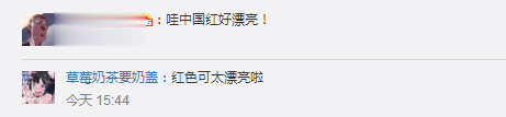中国奥运代表团亮相，外国网友也点赞：“喜欢他们的口罩和裙子，可爱！”(11)