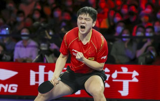 樊振东4比1击败张本智和 勇夺WTT世界杯男单冠军