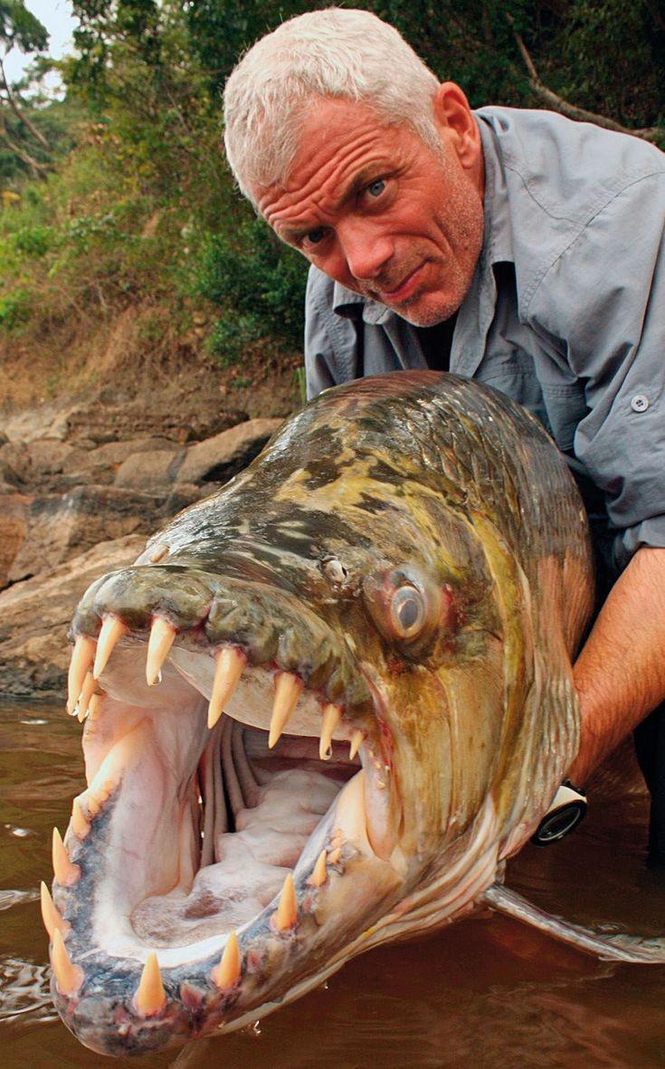 最强钓鱼佬！杰瑞米韦德在《河中巨怪》中钓上来的巨怪们(1)