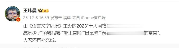 王玮晨谈2023十大流行语：感觉少了噂嘟假嘟、泰裤辣、哈基米