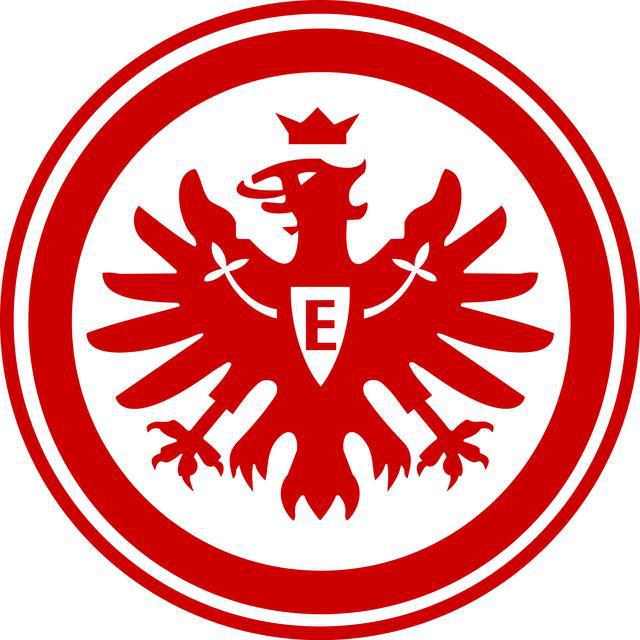 德甲球队队旗 新赛季德甲球队队徽(6)
