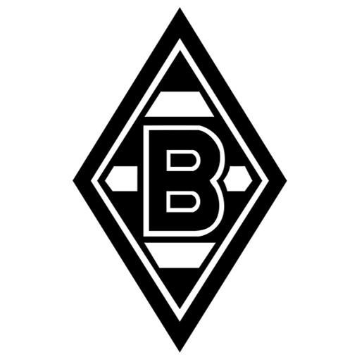 德甲球队队旗 新赛季德甲球队队徽(13)
