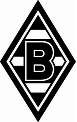 德甲球队列表 德甲十八只球队(11)