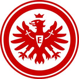 德甲球队列表 德甲十八只球队(14)