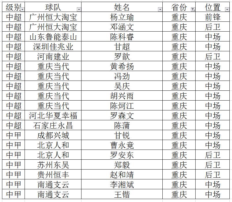 重庆中超中甲球员 盘点各省中超、中甲球员(3)