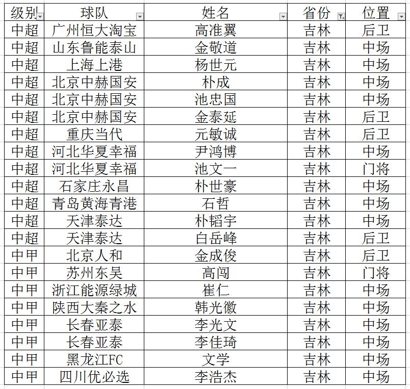 重庆中超中甲球员 盘点各省中超、中甲球员(4)