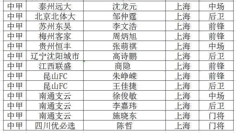 重庆中超中甲球员 盘点各省中超、中甲球员(13)