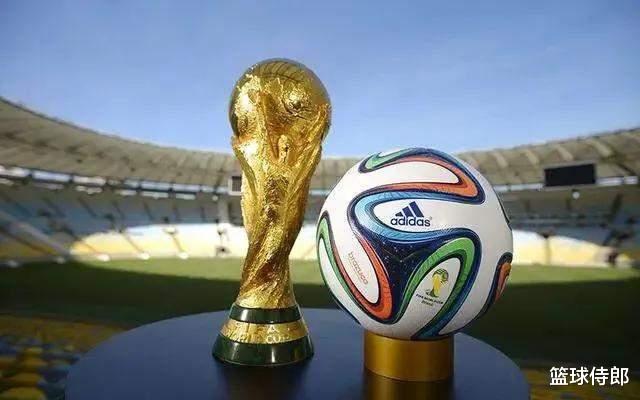 答球迷：国足如果打进2022年卡塔尔世界杯，捧起大力神杯概率大吗？(3)