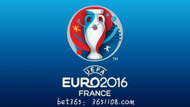 欧冠参赛队图标 欧洲杯24强队徽(1)