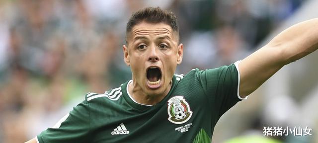 阿根廷有利！墨西哥教练宣布：两大腕不会参加世界杯，第一射手缺阵(2)