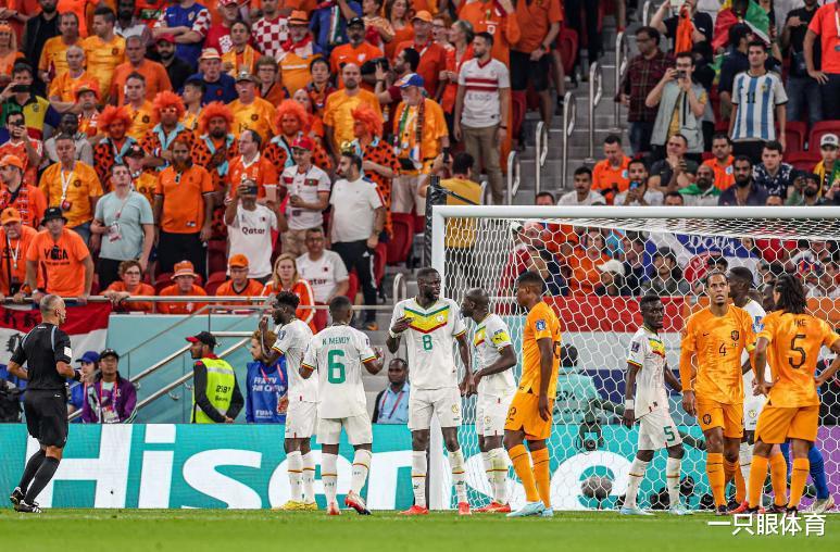 准绝杀+读秒破门！荷兰2-0非洲冠军，激情滑跪庆祝，范加尔怒吼(4)