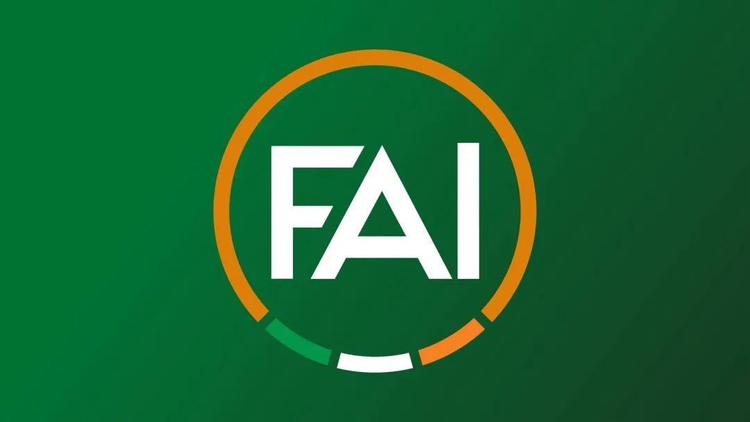 速看！爱尔兰足协发布全新logo(3)
