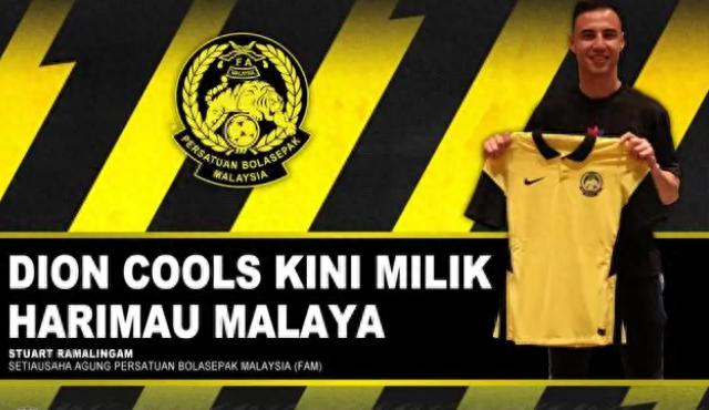 马来西亚公布对阵国足名单：归化云集，华裔后卫再被金判坤征召(3)